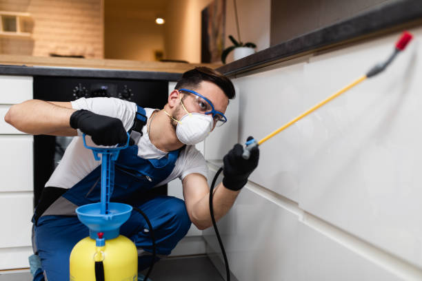 Best Bed Bug Extermination  in Nissequogue, NY
