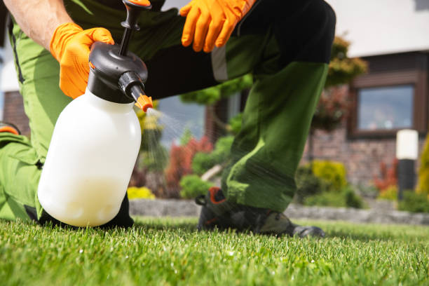 Best Commercial Pest Control Services  in Nissequogue, NY