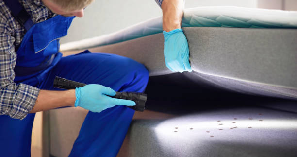 Best Exterminator Services  in Nissequogue, NY