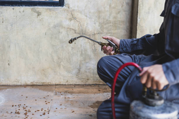 Best Residential Pest Control  in Nissequogue, NY